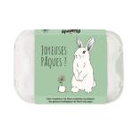 Bombes à graines - Blossombs - Œufs de Pâques à planter - Lapin - 6 bombes à graines - BIO - face recto